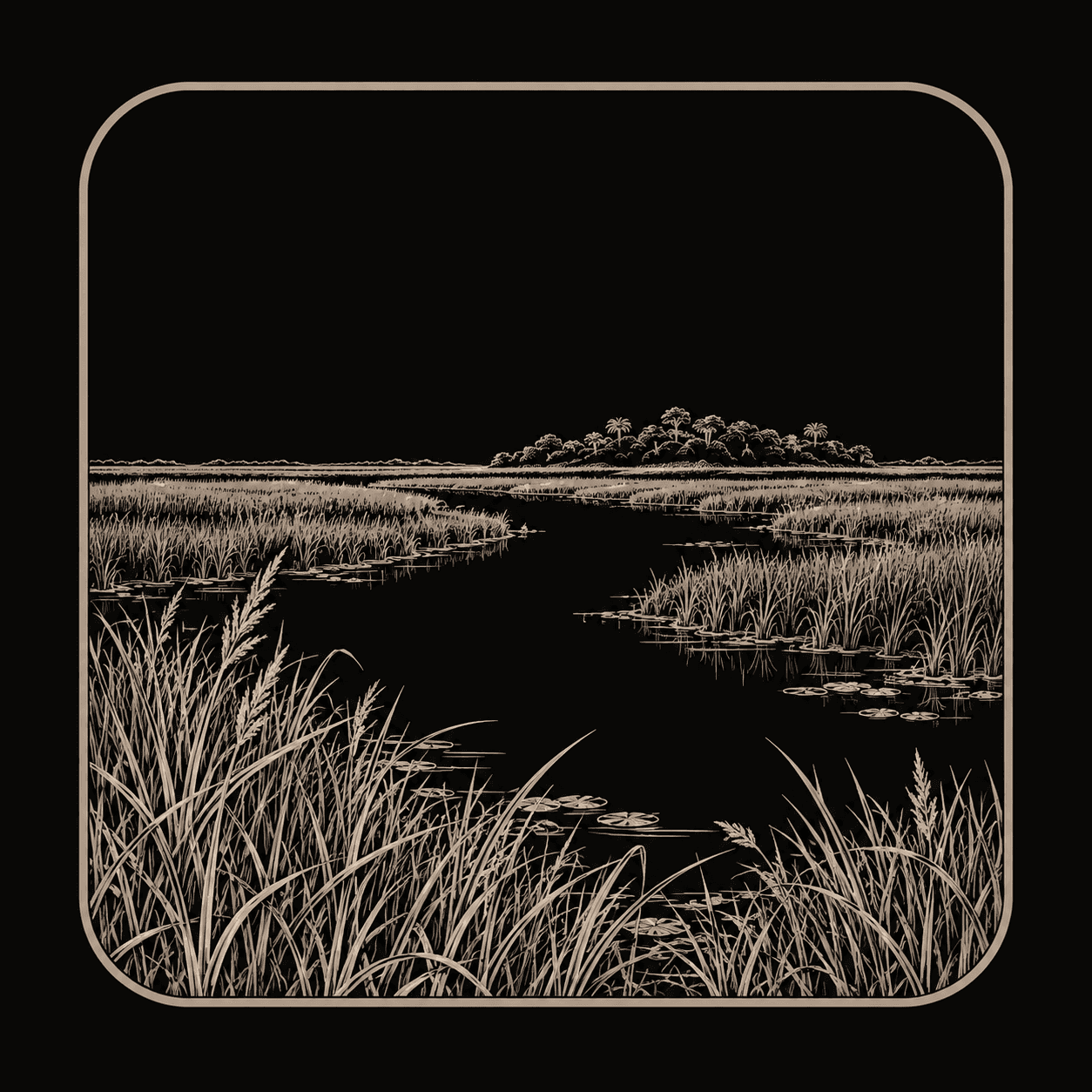 Illustration of Everglades National Park.