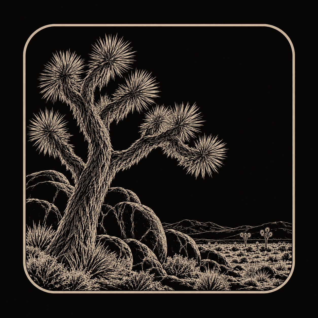 Illustration of Joshua Tree National Park.