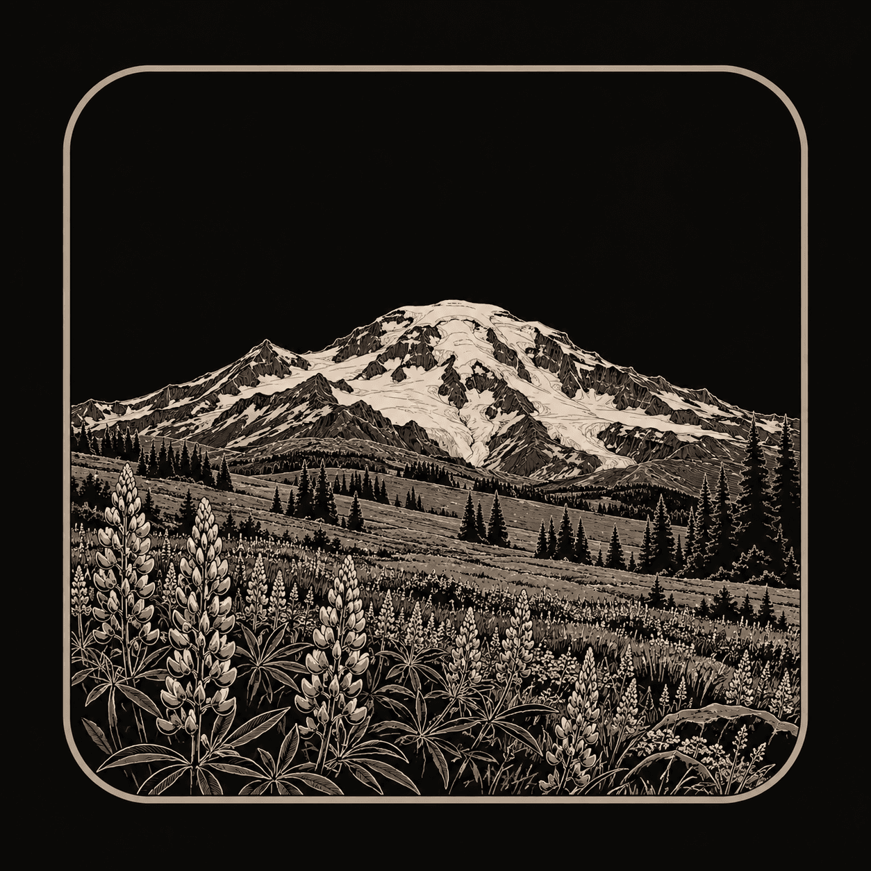 Illustration of Mount Rainier National Park.