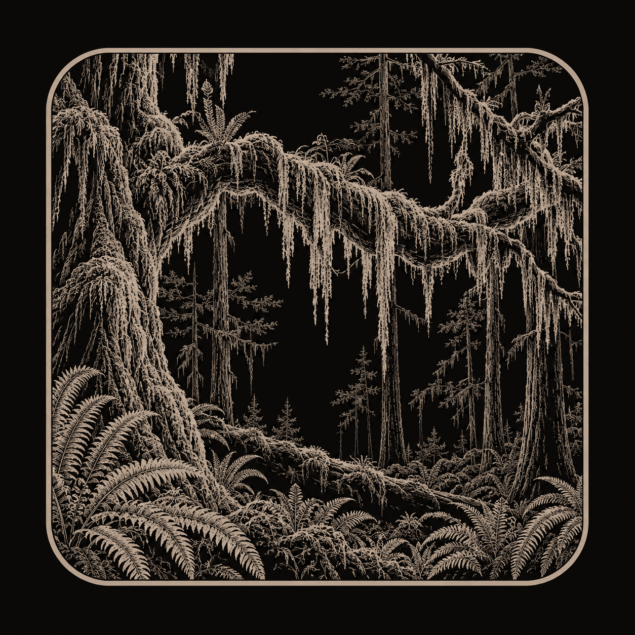 Illustration of Olympic National Park.