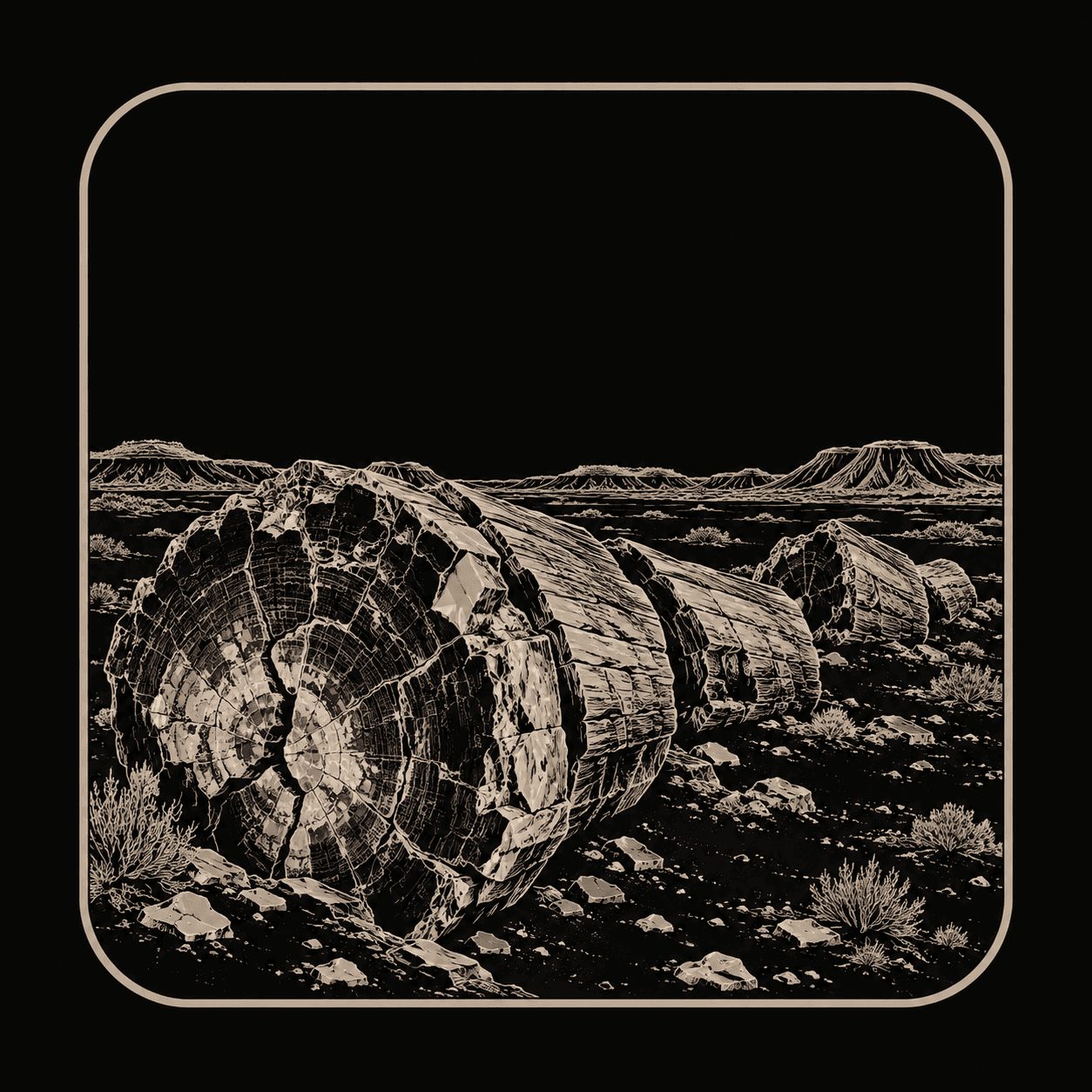 Illustration of Petrified Forest National Park.